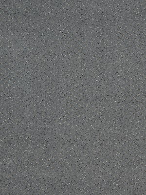 wProFE9600 Profilor Fessorti Objekt Teppichboden Samtgrau