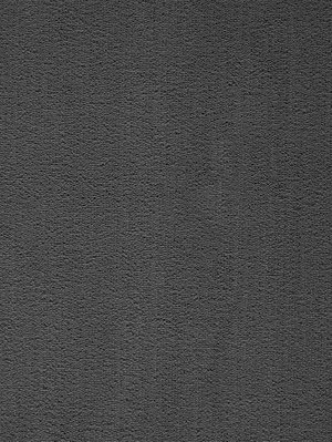 wProPI9800 Profilor Pinomenta Objekt Teppichboden Nachtgrau