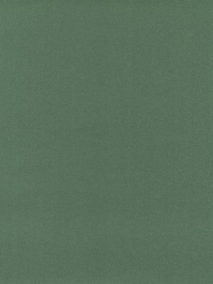 wVSU494G97 Vorwerk Best of Living Superior 1049 Samos Teppichboden Getufteter Saxony, uni Indischgr�n AUSLAUFARTIKEL