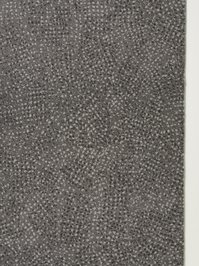 wVSU14SL5W44 Vorwerk Best of Contract SL Elefantengrau...