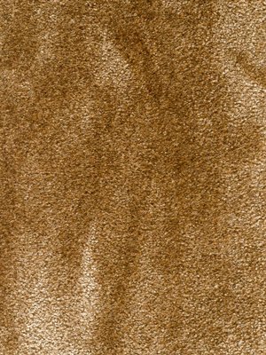 Muster: m-wCosy231 Infloor Emotion Teppichboden Cosy...