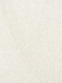 wCouture840 Infloor Emotion Teppichboden Cremewei Couture