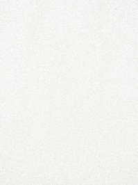 wCouture805 Infloor Emotion Teppichboden Wei Couture