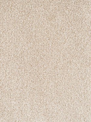 wCello811 Infloor Emotion Teppichboden Creme  Cello