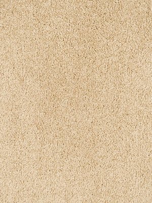 Muster: m-wChiffon840 Infloor Emotion Teppichboden...