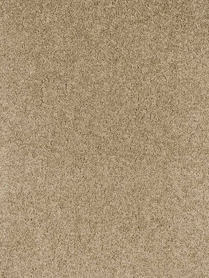 Muster: m-wChiffon860 Infloor Emotion Teppichboden...