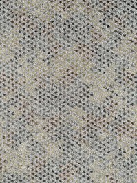 wCaprice830 Infloor Emotion Teppichboden Grau bunt Caprice