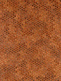wCaprice700 Infloor Emotion Teppichboden Orange Caprice