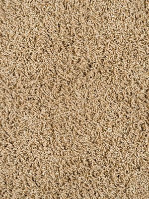 Muster: m-wCottel231 Infloor Emotion Teppichboden Cottel...