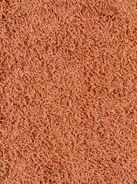 wCottel700 Infloor Emotion Teppichboden Orange Cottel