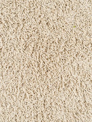 Muster: m-wCottel840 Infloor Emotion Teppichboden Cottel...