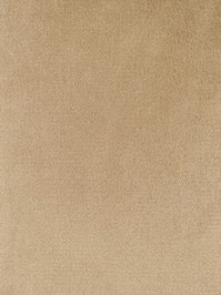wClub870 Infloor Emotion Teppichboden Creme Club