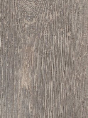 Amtico Signature Vinyl Designbelag Verbier Oak  Winter...