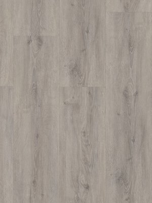 wSTW3632W-22 HWZ International Strong SPC Structure Rigid Klick-Vinyl-Designbelag CAROLINA OAK