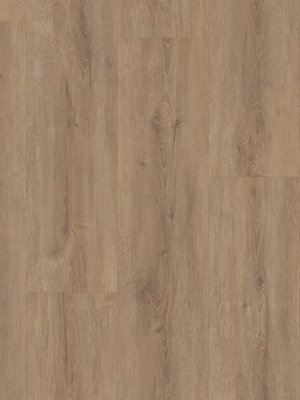 wSTW3632W-15 HWZ International Strong SPC Structure Rigid Klick-Vinyl-Designbelag LOUISIANA OAK