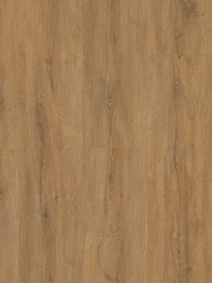 Muster: m-wSTW3632W-48 HWZ International Strong SPC...