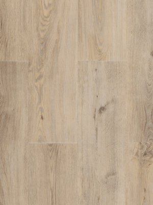 Muster: m-wCONS361129 Profilor Construction-Vinyl...