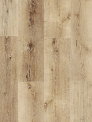 wCONS161129 Profilor Construction-Vinyl Designbelag zum kleben Rustic Oak