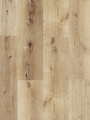 Muster: m-wCONS161129 Profilor Construction-Vinyl...