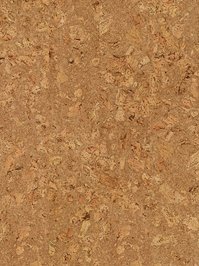 w80002244ESC Wicanders cork Essence Korkboden...