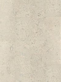 w80002260ESC Wicanders cork Essence Korkboden...