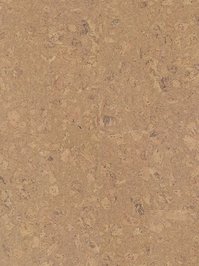 w80002263ESC Wicanders cork Essence Korkboden...