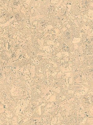 Muster: m-w80002263ESC Wicanders cork Essence Korkboden...