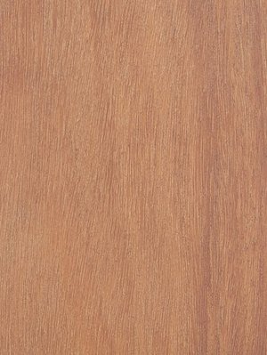 Muster: m-wPRO173001-RO159 Profilor Terrassendielen Holz...