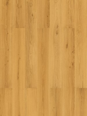 Amorim WISE Wood inspire 700 HRT Golden Prime Oak Korkboden Fertigparkett mit Klick-System