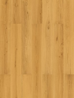 Amorim WISE Wood inspire 700 HRT Golden Prime Oak...