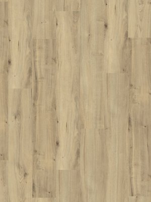 Amorim WISE Wood Pro SRT Field Oak Korkboden zum Verkleben