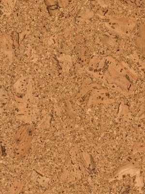 Amorim WISE Cork Pure Shell Natural vorversiegelt, Korkboden zum Verkleben