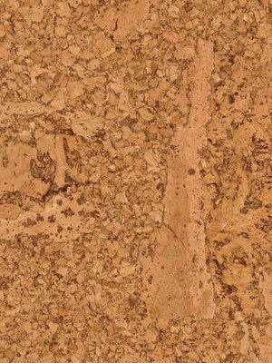 Muster: m-wST80000262-HRT Wicanders WISE Cork Pure...