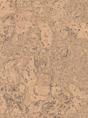 Muster: m-wST80000259-HRT Wicanders WISE Cork Pure...