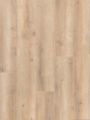 Muster: m-wPro61910026 Profilor Laminat Objekt AC4...