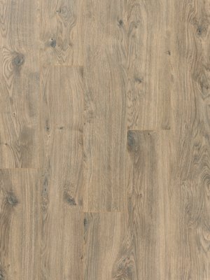 wPro71910026 Profilor Laminat Objekt AC4  Asmara Oak braun