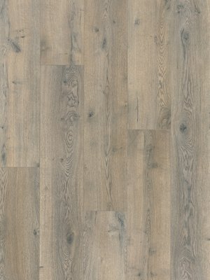 wPro81910026 Profilor Laminat Objekt AC4  Asmara Oak dunkelbraun