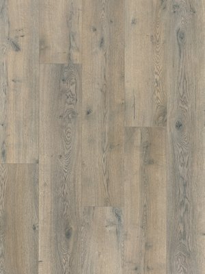 Muster: m-wPro81910026 Profilor Laminat Objekt AC4...