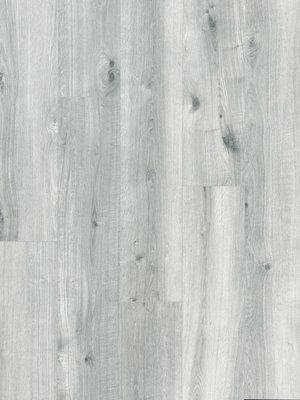Muster: m-wPro02910026 Profilor Laminat Objekt AC4...