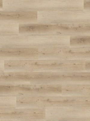 Muster: m-wA-RCL79999 Adramaq Kollektion ONE Click Wood...