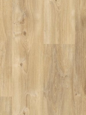wA-RCL79995 Adramaq Kollektion ONE Click Wood Planken mit...