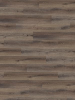 Muster: m-wA-RCL79980 Adramaq Kollektion ONE Click Wood...