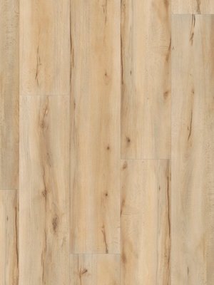 wA-89984 Adramaq Kollektion TWO Wood Planken zum Verkleben Kernbuche