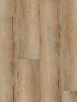 wA-CL89987 Adramaq Kollektion TWO Click Wood Planken zum...