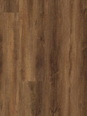 wA-RCL99984 Adramaq Kollektion THREE Wood Click Wood...