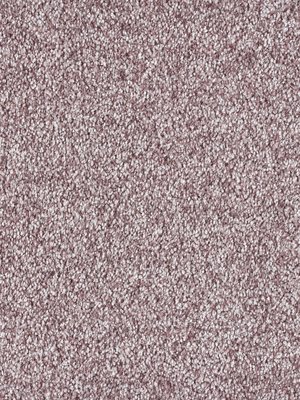 wIDLBI405 Ideal Blush Inspirations Teppichboden Ashes of...