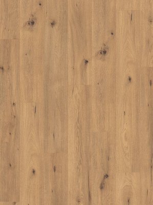 wE368577 Egger 7/31 Classic Laminatboden Wood Planken mit...