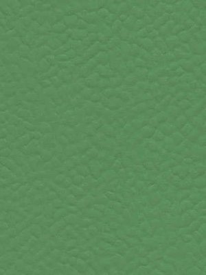 wGer6556 Gerflor Taraflex Sportboden Recreation 45 Verde