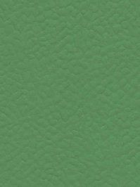wGer6556 Gerflor Taraflex Sportboden Recreation 45 Verde
