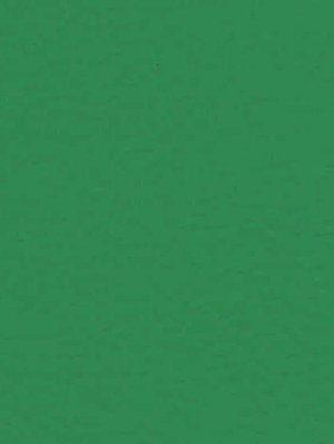 wGer6563 Gerflor Taraflex Sportboden Recreation 45 Menta